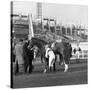 Racehorse and Jockey in Front of Doncaster Racecourse Grandstand, South Yorkshire, 1969-Michael Walters-Stretched Canvas