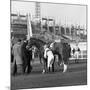 Racehorse and Jockey in Front of Doncaster Racecourse Grandstand, South Yorkshire, 1969-Michael Walters-Mounted Photographic Print