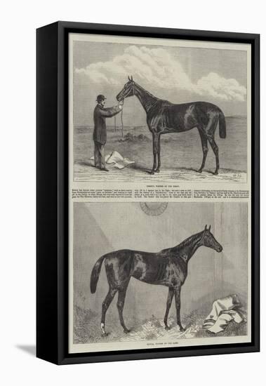 Racehorse-Harry Hall-Framed Stretched Canvas