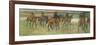 Racehorses (Pastel)-Edgar Degas-Framed Giclee Print