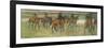 Racehorses (Pastel)-Edgar Degas-Framed Giclee Print