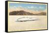 Racer, Bonneville Salt Flats, Utah-null-Framed Stretched Canvas