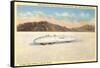 Racer, Bonneville Salt Flats, Utah-null-Framed Stretched Canvas
