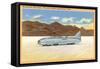 Racer, Bonneville Salt Flats, Utah-null-Framed Stretched Canvas