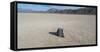 Racetrack, Death Valley National Park, Inyo County, California, USA-Panoramic Images-Framed Stretched Canvas