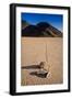 Racetrack Playa Death Valley-Steve Gadomski-Framed Photographic Print