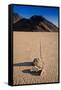 Racetrack Playa Death Valley-Steve Gadomski-Framed Stretched Canvas