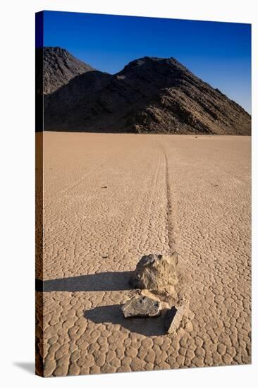 Racetrack Playa Death Valley-Steve Gadomski-Stretched Canvas