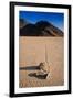 Racetrack Playa Death Valley-Steve Gadomski-Framed Photographic Print