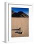 Racetrack Playa Death Valley-Steve Gadomski-Framed Photographic Print