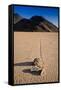 Racetrack Playa Death Valley-Steve Gadomski-Framed Stretched Canvas