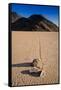 Racetrack Playa Death Valley-Steve Gadomski-Framed Stretched Canvas