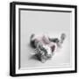 Black Frame