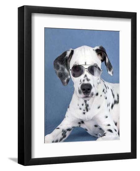 Photographic Print, , large