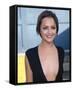 Rachael Leigh Cook-null-Framed Stretched Canvas