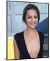 Rachael Leigh Cook-null-Mounted Photo