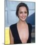 Rachael Leigh Cook-null-Mounted Photo