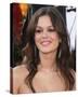 Rachel Bilson-null-Stretched Canvas