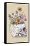 Rachel Caldwell - Flower Skull-Trends International-Framed Stretched Canvas