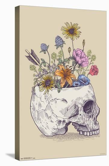 Rachel Caldwell - Flower Skull-Trends International-Stretched Canvas