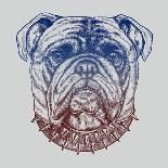 Gritty Bulldog-Rachel Caldwell-Art Print