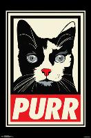 RACHEL CALDWELL - PURR-null-Lamina Framed Poster