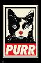 RACHEL CALDWELL - PURR-null-Lamina Framed Poster