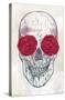 Rachel Caldwell - Skull Roses-Trends International-Stretched Canvas