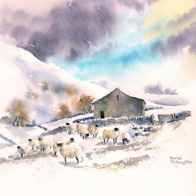 Winter Sheep And Barn