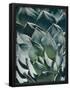 Essential Black