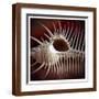 Brown Frame