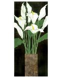 Perfect White Lilies-Rachel Rafferty-Laminated Art Print