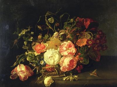 Flowers and Insects, 1711