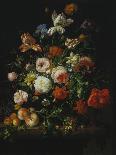 Still Life with Flowers and Fruit-Rachel Ruysch-Giclee Print