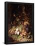 Essential Black
