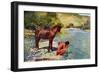 Racial, Apache, Arizona-null-Framed Art Print