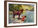 Brown Frame