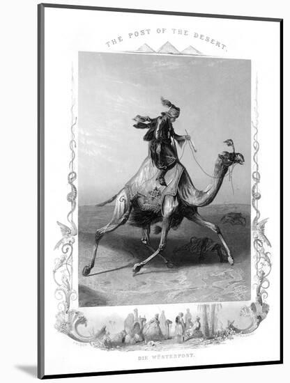 Racial, Arabs, Camel 19C-AH Payne-Mounted Art Print