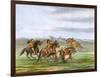 Racial, Comanche Horses-George Catlin-Framed Art Print