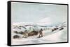 Racial, Hunting Buffalo-George Catlin-Framed Stretched Canvas