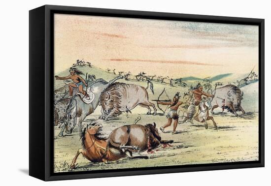 Racial, Hunting Buffalo-George Catlin-Framed Stretched Canvas