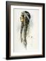 Racial, Iroquois Woman-Harrison Fisher-Framed Art Print
