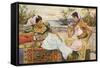Racial, N Africa, Algeria-null-Framed Stretched Canvas