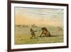 Racial, Wild Horse C1830-George Catlin-Framed Premium Giclee Print