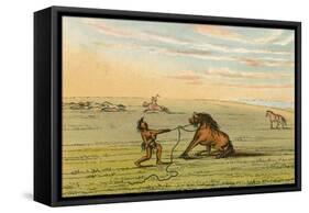 Racial, Wild Horse C1830-George Catlin-Framed Stretched Canvas