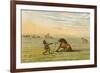 Racial, Wild Horse C1830-George Catlin-Framed Art Print