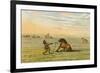 Racial, Wild Horse C1830-George Catlin-Framed Art Print