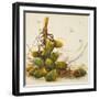 Racimo de Cocos I-Patricia Pinto-Framed Art Print