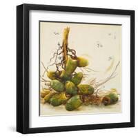 Racimo de Cocos I-Patricia Pinto-Framed Art Print