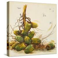 Racimo de Cocos I-Patricia Pinto-Stretched Canvas